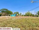  - ที่ดินพร้อมสิ่งปลูกสร้างบ้านหมี่ 1 ไร่ 229 ตร.ว. ลพบุรี ใกล้ที่ว่าการอำเภอบ้านหมี่