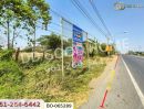  - ที่ดินพร้อมสิ่งปลูกสร้างบ้านหมี่ 1 ไร่ 229 ตร.ว. ลพบุรี ใกล้ที่ว่าการอำเภอบ้านหมี่