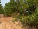 - ขายที่ดินทำเลทอง ต.บ้านเลื่อม อ.เมือง จ.อุดรธานี ถมแล้ว พร้อมใช้งาน! เนื้อที่รวม 4 โฉนด: 51 ไร่ 3 งาน 53 ตร.ว. (ไร่ละ 1,8OO,OOO)