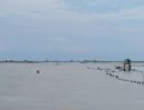 - ขายที่ดินทำเลศักยภาพ 4-1-61 ไร่ ติดถนนใหญ่ ใกล้ปากอ่าวบางตะบูน อ.บ้านแหลม จ.เพชรบุรี ราคา 14,000,000 บาท