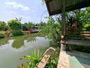 - ขายด่วน! ที่ดินพร้อมบ้านสวนริมน้ำ บ้านครึ่งตึกครึ่งไม้ สุดคลาสสิก ทำเลทอง ต.วัดเพลง จ.ราชบุรี ราคา 15,000,000 บาท