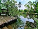 - ขายด่วน! ที่ดินพร้อมบ้านสวนริมน้ำ บ้านครึ่งตึกครึ่งไม้ สุดคลาสสิก ทำเลทอง ต.วัดเพลง จ.ราชบุรี ราคา 15,000,000 บาท