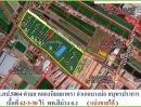  - ขายถูกที่สุดในโซน ที่ดินผังสีม่วงเข้ม สี่เหลี่ยมผืนผ้าสวยมาก