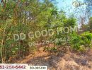  - ที่ดินบ้านหมี่ 1 ไร่ 386.6 ตร.ว. ลพบุรี ใกล้ที่ว่าการอำเภอบ้านหมี่