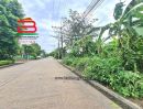 - ที่ดินเปล่า หมู่บ้านปาริชาต 345 (โซน B ซอย 15) เนื้อที่ 81 ตรว. ตำบลบางคูวัด อำเภอเมืองปทุมธานี จังหวัดปทุมธานี