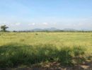  - ที่ดิน 126 ไร่ หน้ากว้างติดถนนคอนกรีต 400 เมตร ถ.เพชรเกษม (ขาลง) หาดขาม กุยบุรี ประจวบฯ