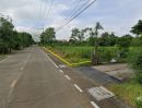  - ที่ดินปทุมธานี ตำบลพืชอุดม เนื้อที่ 2 ไร่ หน้าแปลงติดถนน ราคาคุยกันได้