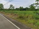  - ที่ดินปทุมธานี ตำบลพืชอุดม เนื้อที่ 2 ไร่ หน้าแปลงติดถนน ราคาคุยกันได้