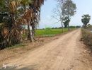 - ขายที่ดิน คลอง8 บึงบอน หนองเสือ ปทุมธานี เนื้อที่ 70 ตร.ว ราคาไม่แพง