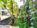 - บ้านเดี่ยว ปรารถนา พาวิลเลี่ยน ถ.นครอินทร์ ใกล้โรงเรียนเด่นหล้า พระราม 5 (เช่า)