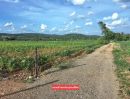  - ขายที่ดินโฉนด 12.5 ไร่ ต.หินซ้อน อ.แก่งคอย จ.สระบุรี บรรยากาศดี