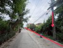 - ขายถูกสุดในโซน ที่ดินทำเลทอง ถมแล้ว ซอยลาซาล 67 (สุขุมวิท 105 ) ตรงข้ามโรงเรียนลาซาล บางนาใต้ บางนา กทม.