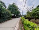  - ขายที่ดินตำบลน้ำแพร่หางดงห่างถนนหลักเพียง 500เมตร