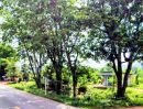 - ที่ดินทำเลทอง ติดถนนสายหลัก ราคาถูก อ.น้ำปาด อุตรดิตถ์