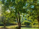  - ขายบ้านสวนพร้อมที่ดิน 10 ไร่ 26 ตร.วา ต.ใหม่พัฒนา อ.เกาะคา จ.ลำปาง ติดถนนทางหลวง 2027