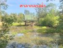 - ขายที่สวน มีโฉนด อยู่ใกล้ถนนหลัก อ.ดอนเจดีย์ จ.สุพรรณบุรี
