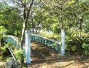 - ขายที่สวน มีโฉนด อยู่ใกล้ถนนหลัก อ.ดอนเจดีย์ จ.สุพรรณบุรี