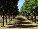 - ขายที่ดินทางเลือก (ภบท5) ราคาจับต้องง่าย. ( 612บ./ ตร.วา ) ( 20 ไร่. : 4.9 ล้าน ) | ซื้อขาย เปลี่ยนชื่อได้ : พื้นที่. ปลอดภัยฯ หายห่วง