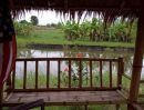 - ขายที่ดินทางเลือก (ภบท5) ราคาจับต้องง่าย. ( 612บ./ ตร.วา ) ( 20 ไร่. : 4.9 ล้าน ) | ซื้อขาย เปลี่ยนชื่อได้ : พื้นที่. ปลอดภัยฯ หายห่วง