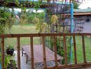 - ขายที่ดินทางเลือก (ภบท5) ราคาจับต้องง่าย. ( 612บ./ ตร.วา ) ( 20 ไร่. : 4.9 ล้าน ) | ซื้อขาย เปลี่ยนชื่อได้ : พื้นที่. ปลอดภัยฯ หายห่วง
