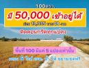 - คลอง 6 ซอย 65 เข้าซอย 200 เมตร 100 ตรว. ติดคอนกรีต