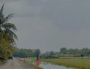  - ขายที่ดินเหมาะทำบ้านสวนเกษตร ตำบล บึงกาสาม อำเภอ หนองเสือ ปทุมธานี