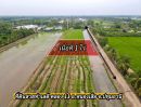  - ขายที่ดินเหมาะทำบ้านสวนเกษตร ตำบล บึงกาสาม อำเภอ หนองเสือ ปทุมธานี