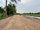  - ขายที่ดินเหมาะทำบ้านสวนเกษตร ตำบล บึงกาสาม อำเภอ หนองเสือ ปทุมธานี