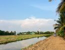  - ขายที่ดินเหมาะทำบ้านสวนเกษตร ตำบล บึงกาสาม อำเภอ หนองเสือ ปทุมธานี