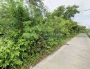 - ขายที่ดิน รังสิต ธัญบุรี คลอง6 ซอยบัญชา-ปราณี เนื้อที่ 1 ไร่ 81 ตรว.ซอยฝั่งตรงข้ามมหาวิทยาลัยราชมงคลธัญบุรี
