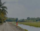  - ที่ดินเหมาะทำบ้านสวนเกษตร ราคาถูก ไกล้แหล่งชุมชน