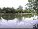  - ขายด่วน! ที่ดิน 17 ไร่ ติดถนน 317 ราคาถูกสุดในโซนนี้!