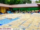 - ที่ดินบ้านแลง 1 ไร่ 56.6 ตร.ว ลำปาง ใกล้เขื่อนกิ่วลม