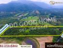  - ที่ดินปากช่อง 14 ไร่ 323 ตร.ว. พญาเย็น นครราชสีมา ใกล้The wild เขาใหญ่