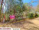  - ที่ดินปากช่อง 14 ไร่ 323 ตร.ว. พญาเย็น นครราชสีมา ใกล้The wild เขาใหญ่
