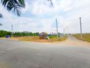 - ขายที่ดินราคาถูก ติดหมู่บ้านไดมอนวิล์ ตำบล บึงชำอ้อ อำเภอ หนองเสือ ปทุมธานี