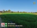  - ขายที่ดินจัดสรรแล้ว 57 ล็อค (18 ไร่ เศษ) สันกำแพง เชียงใหม่ พร้อมรันโปรเจค ทำเลดีมาก