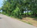  - ขายที่ดินพร้อมสวนป่า อำเภอชัยบาดาล จังหวัดลพบุรี เนื้อที่ 14 ไร่