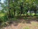  - ขายที่ดินพร้อมสวนป่า อำเภอชัยบาดาล จังหวัดลพบุรี เนื้อที่ 14 ไร่