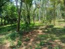  - ขายที่ดินพร้อมสวนป่า อำเภอชัยบาดาล จังหวัดลพบุรี เนื้อที่ 14 ไร่