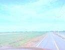 - ขายที่ดินเปล่า ขนาดใหญ่ ราคาดี ทำเลบางเลน จ.นครปฐม