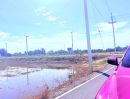  - ขายที่ดินเปล่า ขนาดใหญ่ ราคาดี ทำเลบางเลน จ.นครปฐม