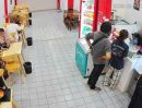  - เซ้งถูกมาก!! ร้านหม่าล่าทั่ง ทำเลทอง ติดถนนใหญ่ ร้านสวย อุปกรณ์ครบ พนักงานพร้อม เปิดขายต่อได้ทันที