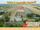  - คลอง 8 โซน B (ธงสีเหลือง) คลอง 8 ฝั่งตะวันออก