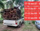 - ขายสวนปาล์มน้ำมันและยางพารา ติดคลอง ติดลำห้วย โฉนด 25 ไร่ ใกล้หาดทุ่งวัวแล่นเพียง 5 นาที ต.สะพลี ปะทิว ชุมพร