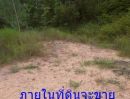 - ขายด่วนราคาพิเศษที่ดินติดถนนมิตรภาพขาเข้า อ.บ้านไผ่ ขอนแก่นหน้ากว้าง 170 เมตร
