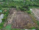 - ที่ดินแปลงสี่เหลี่ยมสวย ทำเล EEC ใจกลางเมืองฉะเชิงเทรา