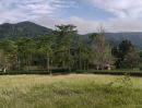  - ขายที่ดินเขาใหญ่ ที่ดินในโครงการทอสคานา Toscana แปลงสวย ราคาดีมาก โซนใกล้อุทยานแห่งชาติเขาใหญ่ วิวเขาสวย อากาศดีมาก หมูสี โป่งตาลอง ปากช่อง