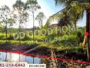  - ที่ดินบางกรวย 1 ไร่ ถ.ราชพฤกษ์ นนทบุรี ใกล้เซ็นทรัล เวสต์วิลล์