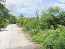 - ขายที่ดินหนองขาม 60 ตรว. หลังสวนสาธารณะหนองค้อใกล้สวนเสือศรีราชา-2กม. อ.ศรีราชา ชลบุรี